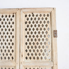 Indian jali door panel 299516