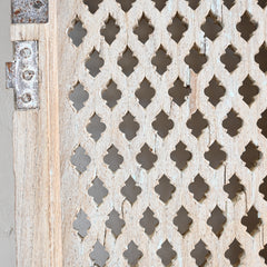 Indian jali door panel 299516